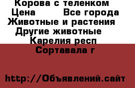 Корова с теленком › Цена ­ 69 - Все города Животные и растения » Другие животные   . Карелия респ.,Сортавала г.